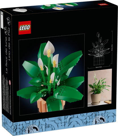 https://www.lego.com/cdn/cs/set/assets/bltb5e055e2fc559f7c/11504_Box5_v39_en-gb.png